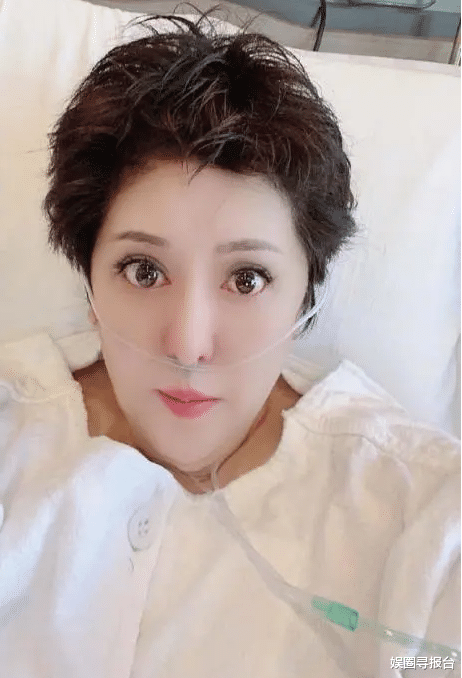 向佐|“向锅”出生了？向太宣告赴台见郭碧婷当天，向佐干儿喊话官宣报喜