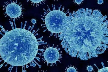 『科学家』科学家开始担忧，永冻土下的生命开始苏醒，或对人类社会造成影响