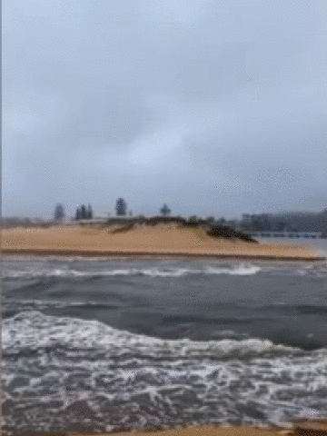 「霍金」“霍金：“曾预言21世纪冲击人类的不是人工AI而是病毒？”