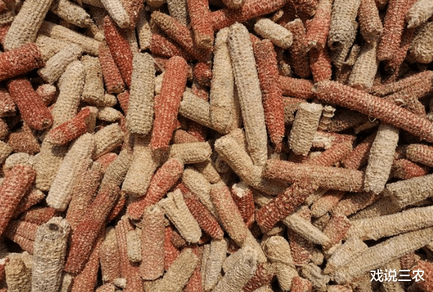 戏说三农|玉米芯也是“宝”,3毛/斤高价收!1亩地多赚200~300元,不香吗?