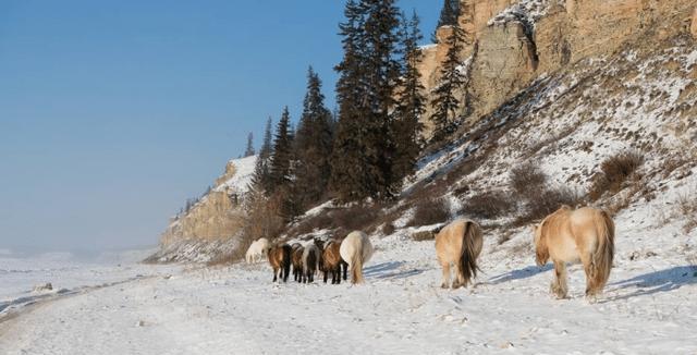 萨哈共和国|长相最像中国人的国家，面积比蒙古国大一倍，相当于31个韩国