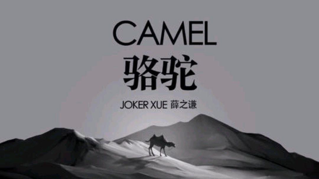 #薛之谦#薛之谦用动物来抒怀的歌曲，有着深刻的寓意，但受众面狭小