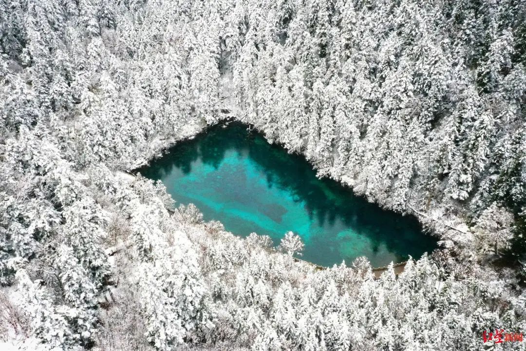 成都|冷冷冷，最高温仅8℃！真一秒入冬！成都这个地方已经下雪了