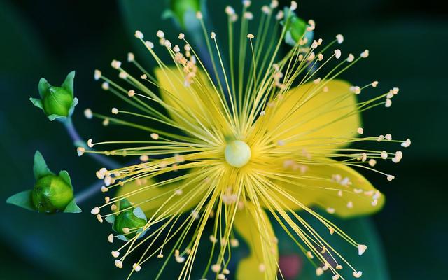 生肖|9月初，等风来，不如追风去，主动寻爱，结局美满，阅遍人间温柔
