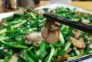 [营养膳食]疲劳最怕这个菜，钙是牛奶的1倍，铁是牛奶的21倍，增强体力