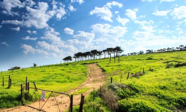 生肖|9月下旬，好运找上门，4生肖得高人指点，事业丰收，财如雨下