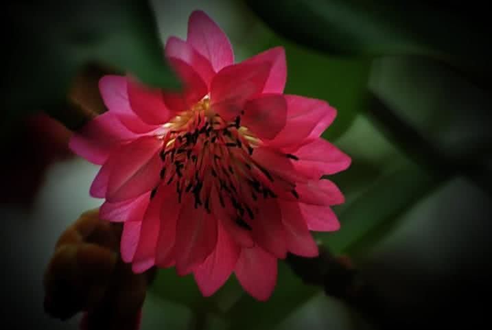 运势@6月下旬开始运势比火旺，收入大涨，富贵如雨的4大属相