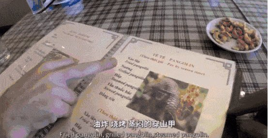 你好吴所畏|又一综艺被骂上热搜，破坏濒危植物惹怒14亿国人，背后的真相太恶心了！