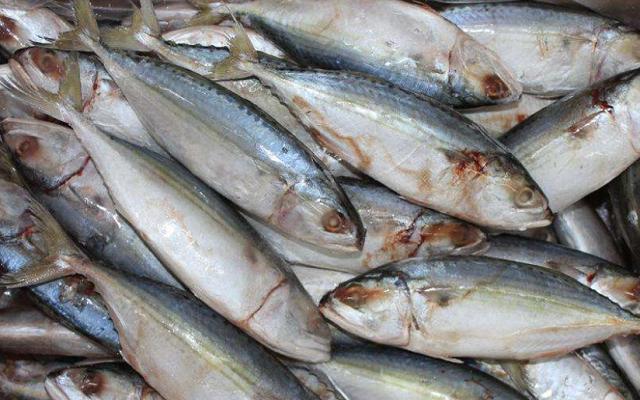 黄花鱼|网评最好吃的“5种鱼”，鱼贩偷偷留着自己吃，识货的看到抢着买