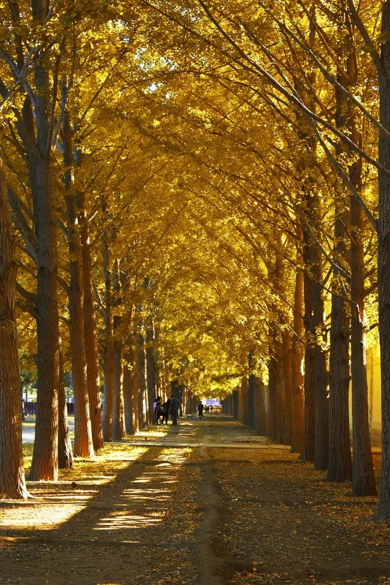 自驾|十处不拥挤、够惊艳的景色，适合国庆出行，总有一处对你胃口