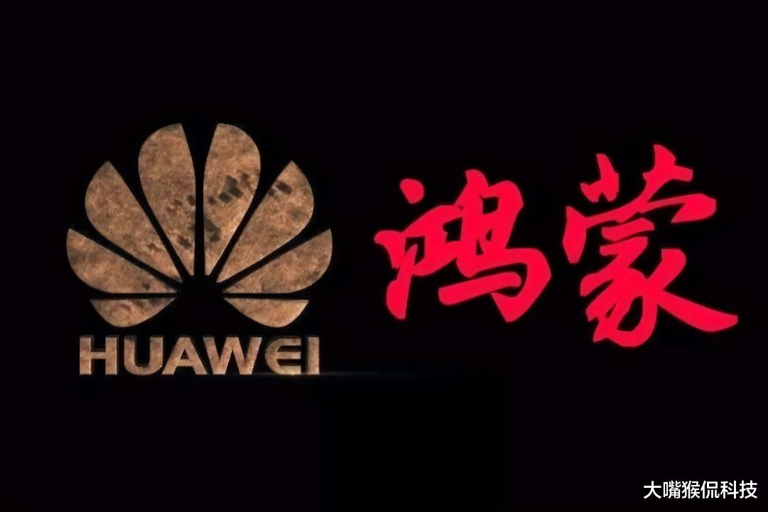 华为|华为除了胜利已无路可走！欧盟正式表态，将华为5G排除在联盟之外