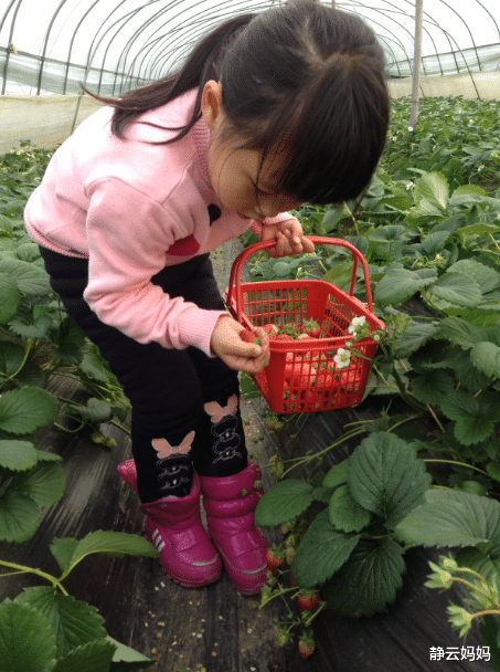 「长沙」长沙13个免费旅游景点，个个精心挑选，五一陪孩子好好玩尽兴
