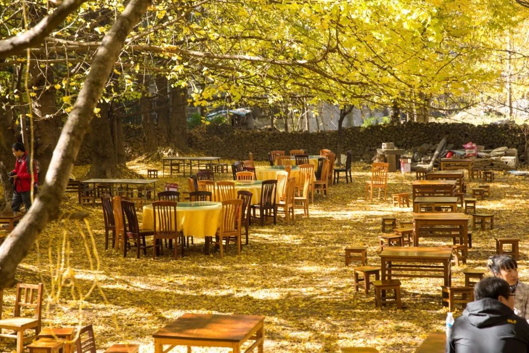 旅行 2021年适合一个人旅行的10个地方，累了就出来走一走！