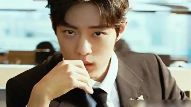 杜淳▲当有人拿罗志祥、范冰冰等与肖战比较的时候，我就知道肖战输了