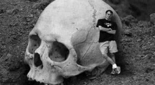 生物考古|远古时期五大“神物”，倘若它们生存下来，人类的掌控权将转让