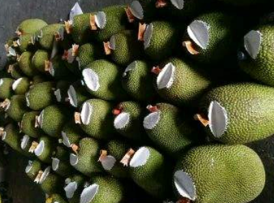 水果@为什么进口菠萝蜜，都会被砍一刀？外行人看了表示一脸懵