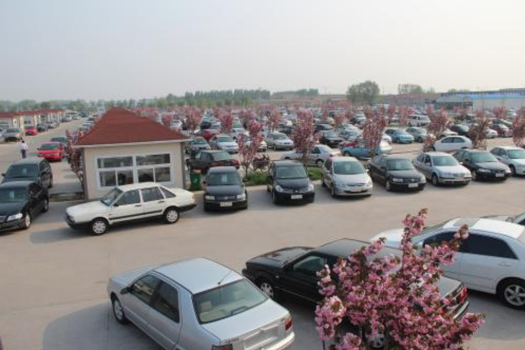 「大众辉腾」小伙15万买泡水辉腾，维修工检查后：这车你修不起，30万卖我