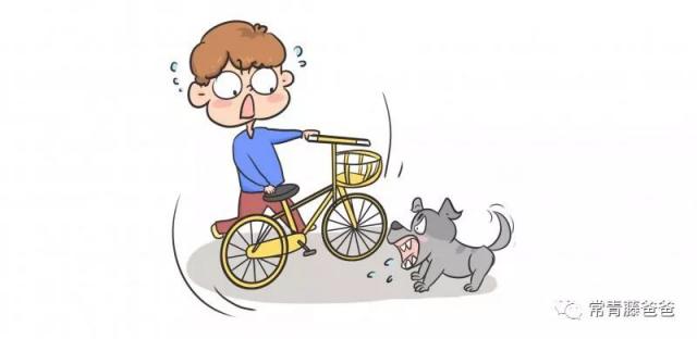 半岛晨报|男子凌晨误入山中被野狗逼上绝路，打开手机闪光灯发现在墓地里