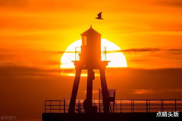 天蝎座|8月份咸鱼翻身，爱情来敲门，锦鲤体质的三大星座