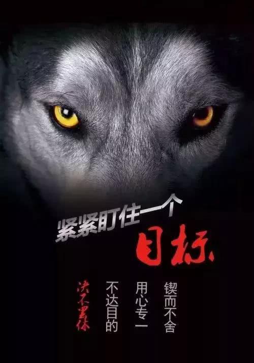 「华为」华为任正非：让基层有饥饿感、中层有危机感、高层有使命感！