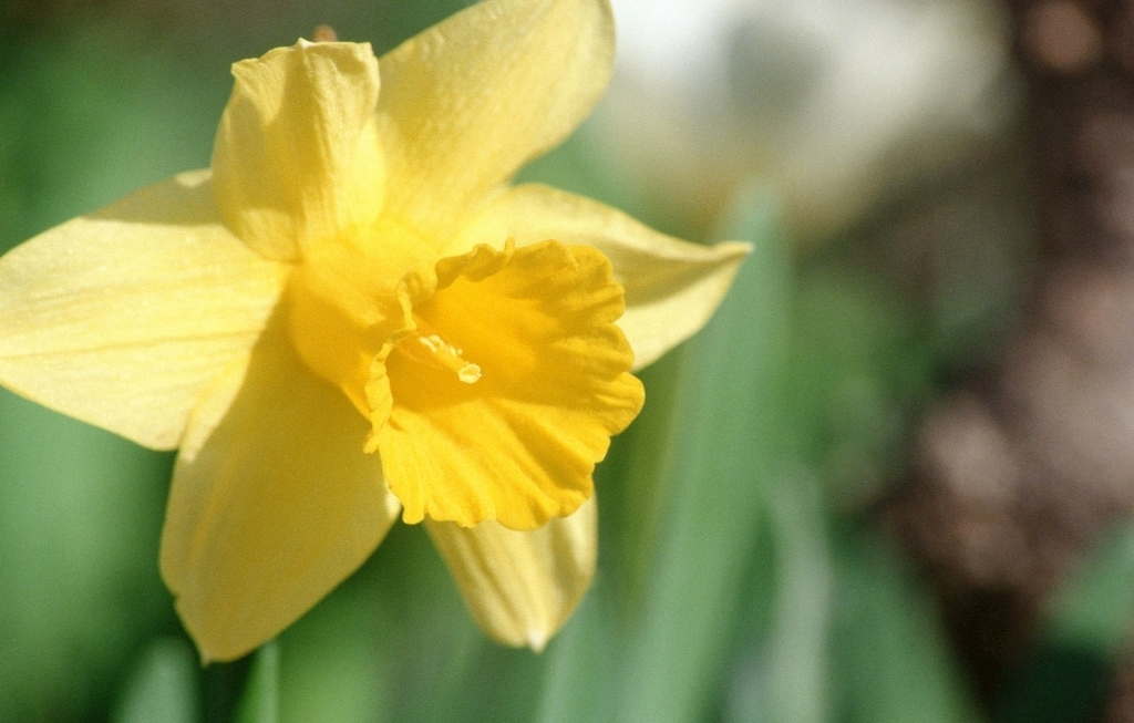 金牛座|一身傲骨、气场比男生更强的星座女，一般人很难征服