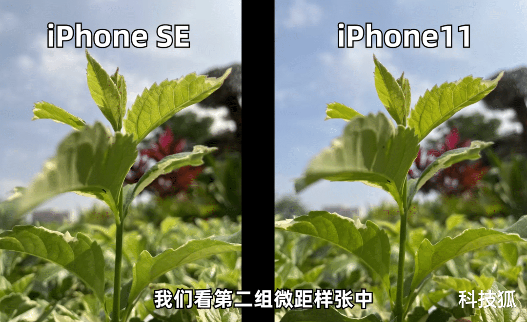 [苹果]iPhone SE 比贵 2000 元的 iPhone 11 差在哪？