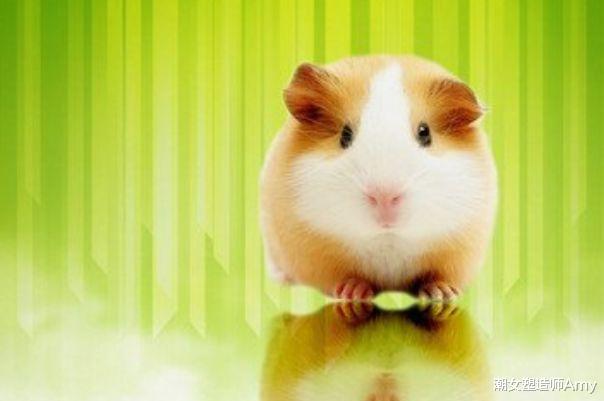 旧爱|生肖鼠：不出5天会遇见下面2个人，是你未来2个月的大贵人要珍惜