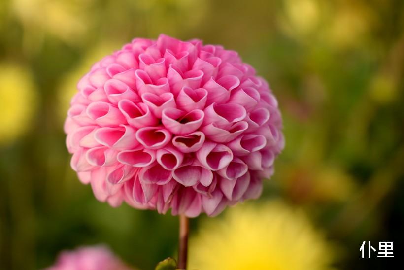 「生肖」3生肖6月下旬正财滚滚来，收入攀升，不再为钱发愁，恭喜恭喜