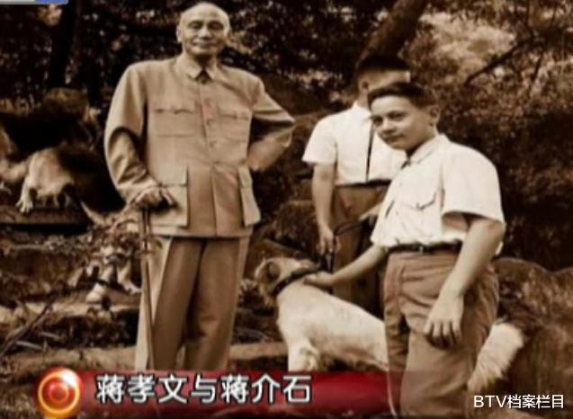 李云龙|蒋介石后人身上发生了什么事,为何都远离政坛?长辈太过厉害