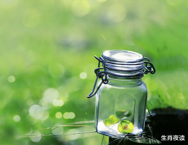 狮子座|11月中旬，对你的爱，戒不掉，忘不了，爱得撕心裂肺，深情不负