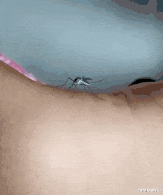 ktv|“KTV的厕所装这样的沙发是什么意思？”真让人难以理解啊