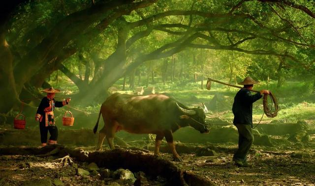 旅行|看了这些景区的“素颜照”，我再也不想去旅行了