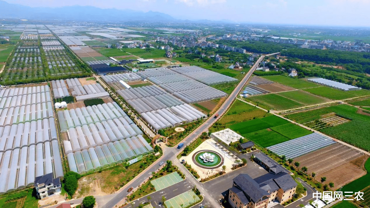 山药|大米像鲜榨果汁一样“淌”出来 盒马现碾米是噱头还是趋势