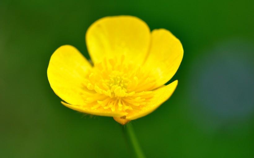 生肖|10月开始，四生肖财运笼罩，财神上门，运势一路飙涨