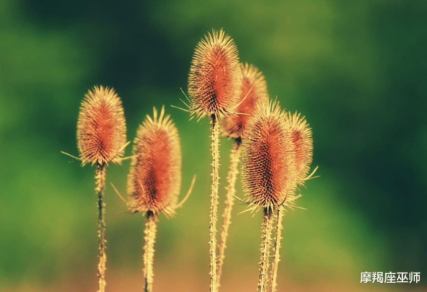 天蝎座|11月，时光易老，出现转机，前任不忘归处，感情升温，苦尽甜来