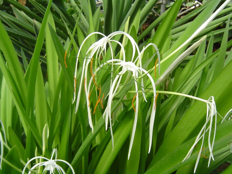 生肖▲7月开始，关键时期，抓住了机遇，4大生肖喜获姻缘，爱情来到身边