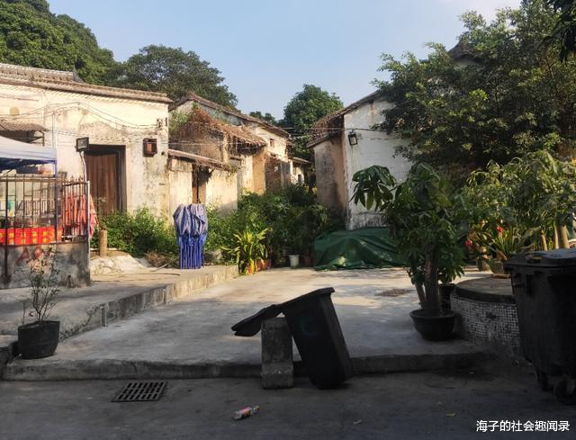 深圳杨美“无人村”，300块房租没人住，本地房东：拆了重建就暴富了