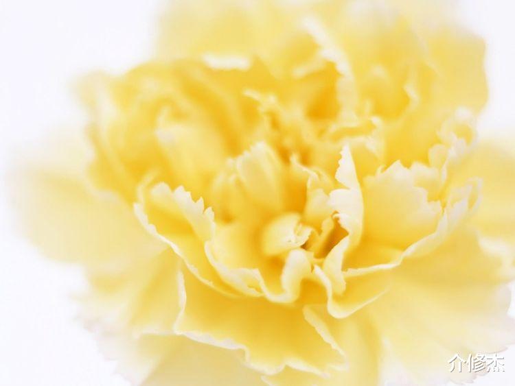 |9月最后一周里，吉星庇佑，好运扎堆进家门，福气满满的生肖！