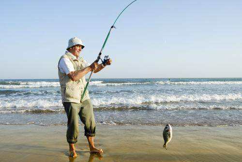 |为什么钓鱼要用蚯蚓?专家给出解释:因为鱼类的有三个特性