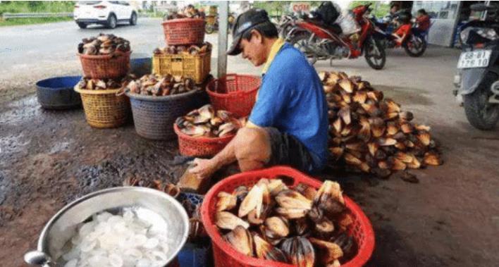 『小龙虾』继小龙虾后，这一物种入侵中国，被中国吃货痴迷，吃货：太好吃了