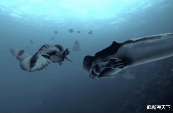 外星人|科学家曾拍到“美人鱼”，美人鱼难道真的存在？