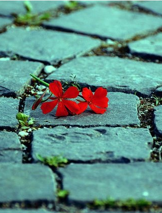 『攻略那个渣攻』耽推：《攻略那个渣攻》