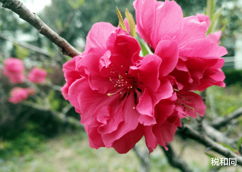 生肖■3生肖，6月24号苦尽甘来，财气旺盛，全家人跟着一起享福