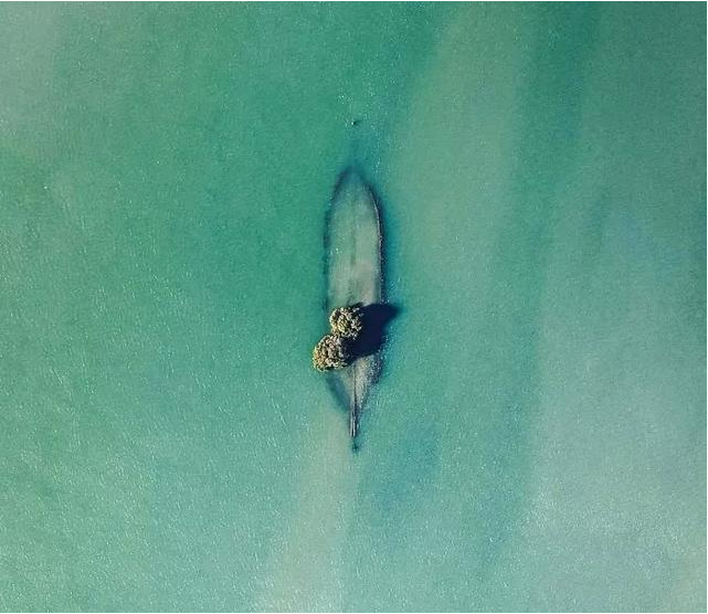 |那些被人类遗忘的角落，最终被大自然无情反噬