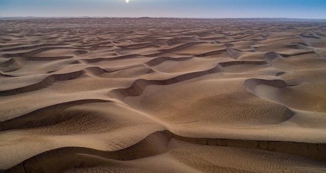 #胡杨林#“塔克拉玛干沙漠”里的亿万棵树，大家记得吗？现状让人很意外