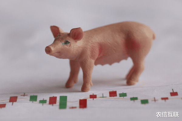 豬價突然上漲！能到春節？2021年豬價預測！生豬期貨明年上市-圖4
