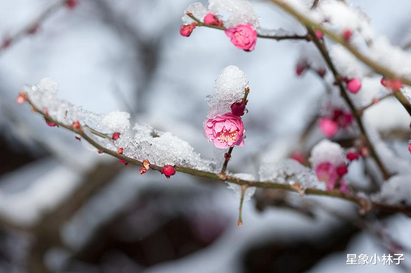 金榜题名|8月，文昌星到，月老入宅，4星座金榜题名，爱情自来