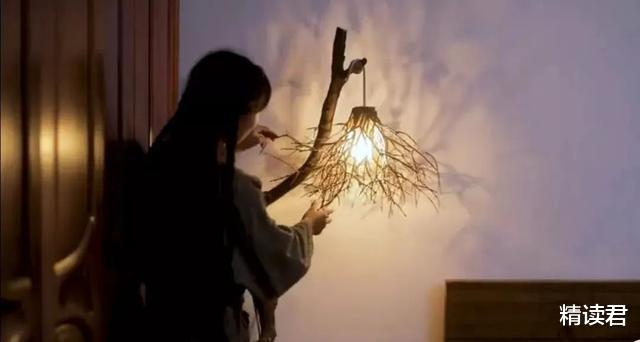 「李子柒」李子柒豪宅曝光，我看到背后最悲哀的一幕：中国式审美正在被毁掉