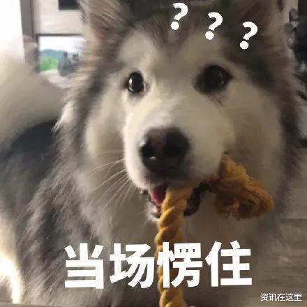 隆胸|失望！浙江一姑娘下血本花5万做隆胸手术，一看效果欲哭无泪...
