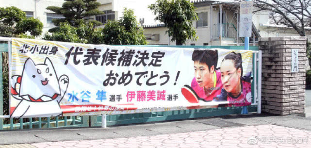 水谷隼：破案了！伊藤美诚多次摆臭脸，水谷隼为何能忍？两人竟有这层关系